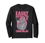 Chinchilla Animals