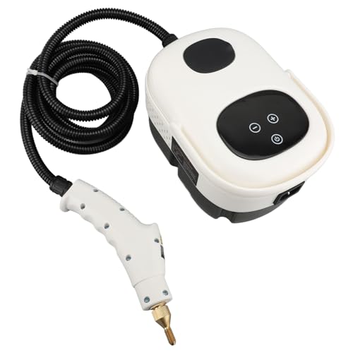 Steam Cleaner, High Temperature 2500W Steam Machine Professional for Floor for Kitchen (US Plug 110V)