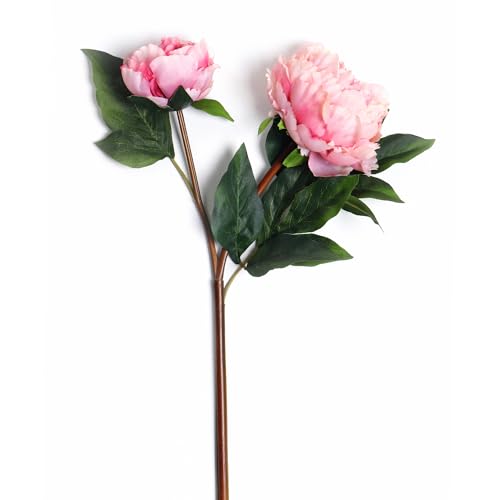 Image of PURE HOME + LIVING Pink Faux Peony Spray (Made of Plastic, Wire and Fabric) for Home, Office and Living Room Decorations (Without Vase)(Height-57cm) Pack of 1