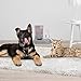 Relaxdays Wasser- und Futterspender, Futterautomat Katzen & Hunde, Flasche, Kunststoff, HBT 34x34,5x27,5 cm, dunkelgrau, 1 Stück (1er Pack)