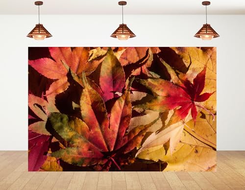 9x9ft Multicolored Autumn Maple Leaf Backdrop Layered Photography Background for