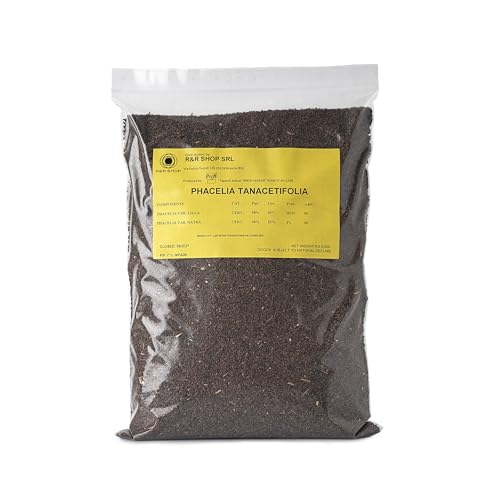 R&R SHOP - Phacelia-Saat Phacelia Tanacetifolia Schnelle Blüte Nektarreich für Bienen und Schmetterlinge Ideal für Rasen und Gärten (500 g 300 m)