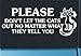 Please Don't Let The Cats Out - No Matter What They Tell You - White VinylSticker