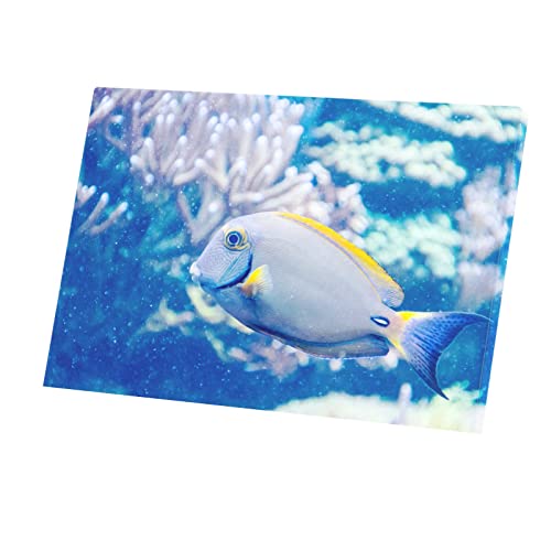 Toile imprimée poisson chirurgien au rendu artistique premium 90x60