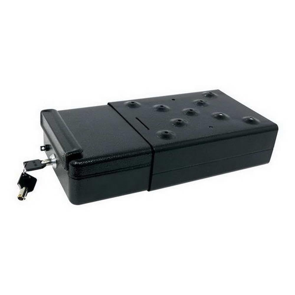 Carpoint CG Car Professional 0510006 sejf samochodowy, szary