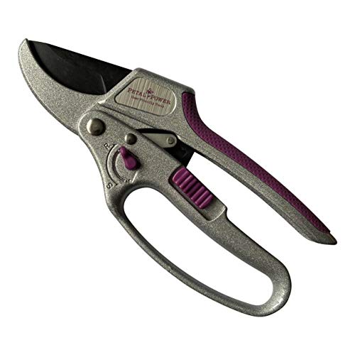 Top Ten Best Secateurs For Gardening Arthritis 2023. Top Ten Best Products