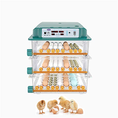 ZJDU Egg Incubator, Fully Automatic Digital Hatcher, with Humidity Control, Poultry Hatcher with Automatic Egg Turning, Air Incubator Portable, for Chickens Ducks Goose Birds,176 Egg