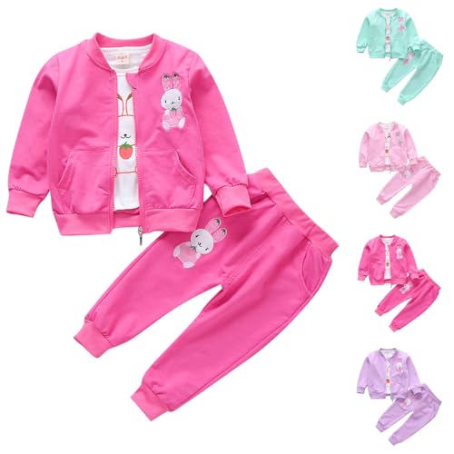 Girls Boys 2 Piece Tracksuit Sets Cute Bunny Print Long Sleeve Zip Up Jacket + Joggers Sweatpants Fall Oufits for 2-7 Years2
