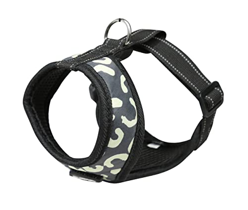 Ratia fUCX^WI eBA kfUC x[VbNCgn[lX kNEOC MTCY