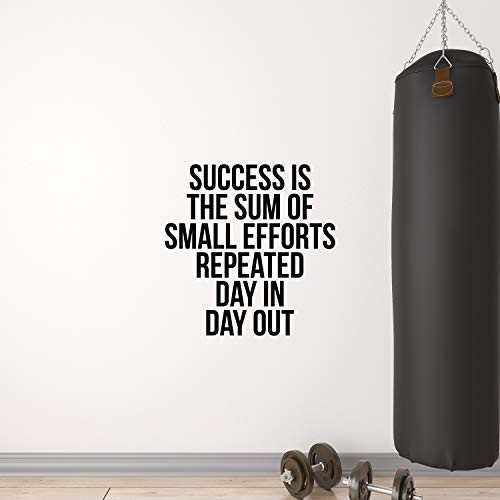 My Vinyl Story | Success Is The Sum Of Small Efforts Repeated Day In Day Out | Motivational Large Gym Wall Decal Quote for Home Gym Yoga Exercise Fitness Workout Fitness Motivational Wall Art Decor Vinyl Removable Sticker 22x22 inches