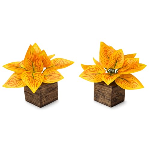 Image of DecoreBugs Artificial Real Touch Flower Plant with Pot (Pack of 2), 16 cm Height, Decorative Faux Floral Plant for Home, Office, Living Room, Bedroom, Table & Shelf Decor