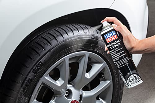 LIQUI MOLY Reifenglanzschaum | 400 ml | Autopflege | Lackpflege | Art.-Nr.: 1609 (Packung mit 2)