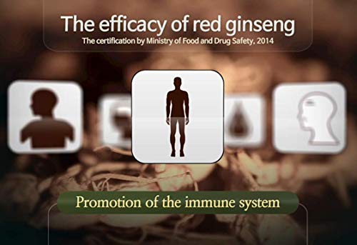 Authentic 6Years Korean Red Ginseng - 300Mg X 200 Tablets - Healthy Immune Support, Improving Blood Flow And Memory – 100% Red Ginseng Extract #TOP4