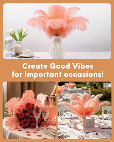 image for NEWONG 30pcs Rouge Pink Ostrich Feathers Natural Bulk 9-12in（23-30cm