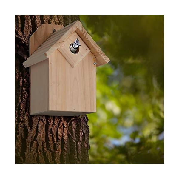 Relaxdays Nistkasten für Vögel, 28 mm Einflugloch, Vogelhaus zum Aufhängen, unbehandeltes Holz, HBT: 25x19x16 cm, Natur… – Bild 3