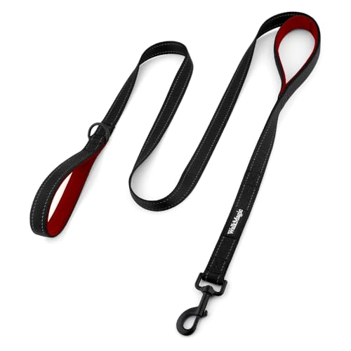 WalkMagic Padded Dual Handle Leash