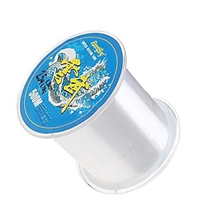 SAIYU Vislijn 500 meter 0,26 mm nylon visdraad wit mono-filament draadspoel Friesen