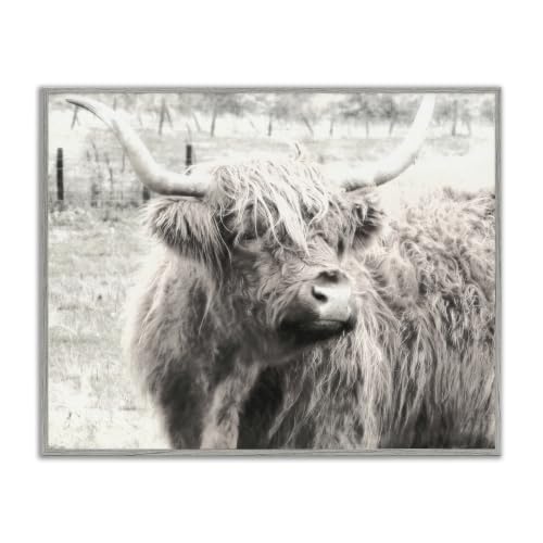 Rustic Highland Cattle Farmhouse, 16 x 20 Inch Framed Giclée Print