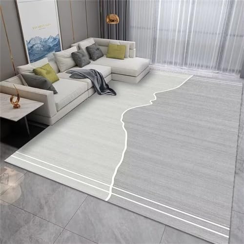 Tapis à poils courts acoustique et anti-humidité gris 300x400cm pour grand salon - 2