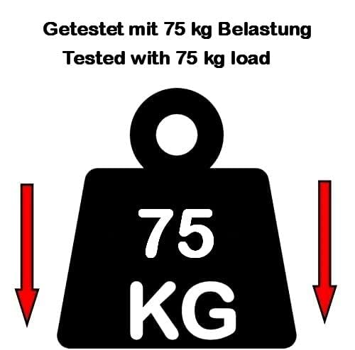 ELIX Versandhülse Versandrohr Versandrolle | mit Deckel | 25-87cm| Länge 280mm| Durchmesser 38mm Bis DIN A4 (10 Stk 30 cm x 3.8 cm)