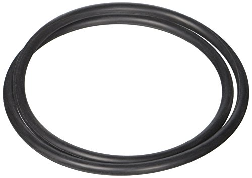 Hayward SPX4000T Seal Plate O-ring Replacement for Hayward Northstar Pump