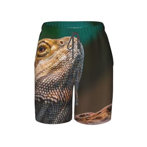 Peynir Bearded Dragon Reptile Teen Boys Beach Shorts Swim Trunks Casual Board Shorts for 7-20 Years4