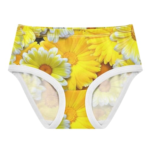 Yellow Calendula Flowers Toddler Underwear Floral 2t Cotton Panties for Girl Cartoon Briefs Girls Undies