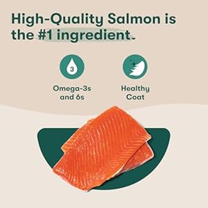 Jinx Meal Topper/Combine-in – Canine Meals Topper Made with Freeze-Dried Wild-Caught Salmon, Restricted Elements, Premium Protein – for Puppies, Adults, and Seniors, 3 oz Luggage, 6-Pack – Salmon