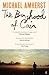 The Boyhood of Cain: 'A new literary star is born . . . dazzling.' The Times