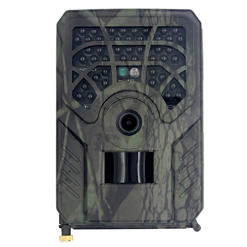 Best Budget Trail Camera UK Eyes