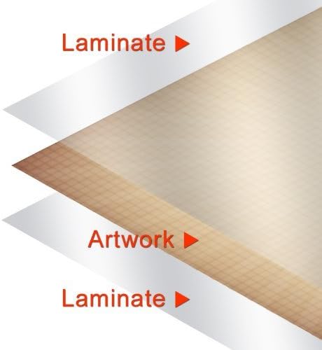 Miniatura 2 de Póster laminado con estampado de pájaros de patio trasero 24x36 pulgadas