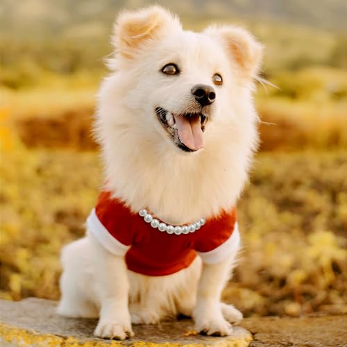 Madison Tyler Dog Pearl Necklace | Durable Dog Necklace | Cute Fashion Pet Collar for Dog | Light Pearl Jewelry Bold Puppy Accessories | Pet Necklace Gift 19 inches by Madison Tyler - Image 3