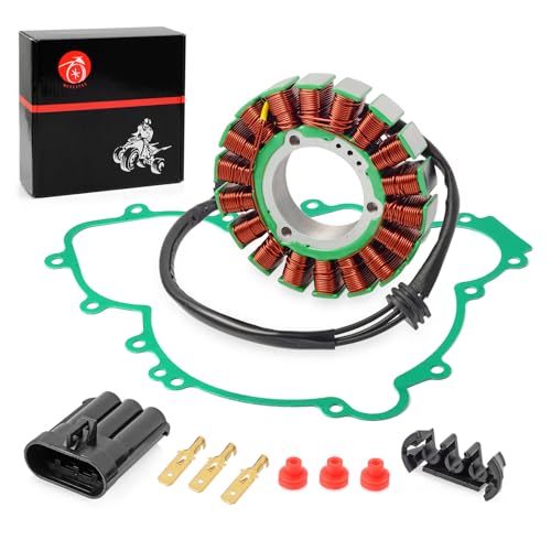 Stator et joint pour réparer la charge électrique de votre Polaris RZR 1000
