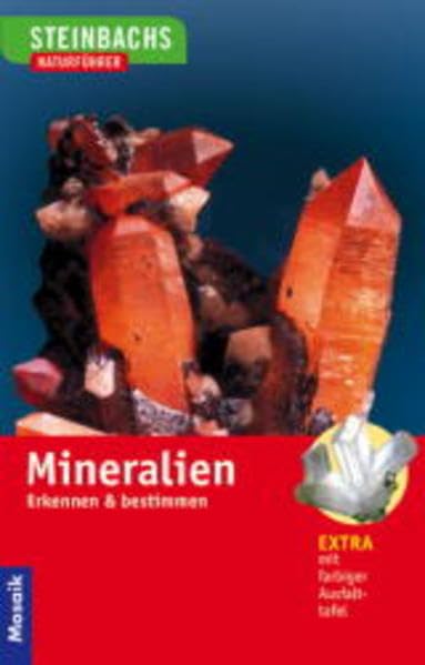 Mineralien: Erleben, Erkennen, Bestimmen