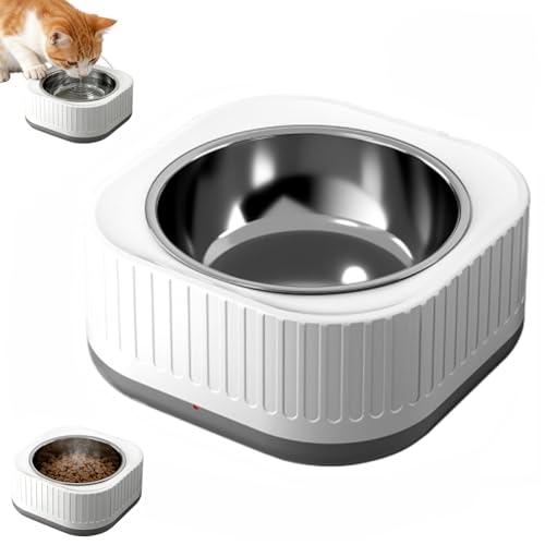 Uppvärmd vattenskål, utomhus termostatkontroll uppvärmd hund husdjursskål för vintern, automatisk uppvärmd husdjursvattenskål med tuggbeständigt snöre för hundar katter utomhusbruk