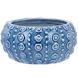 SUNNYCLUE Ceramic Succulent Planter Shallow Planter Summer Ocean Series Sea Urchin Ceramic Pot Blue Small Plant Pot Ceramic Vase Flower Pots with Drainage for Indoor Outdoor Office Home Gardening Gift