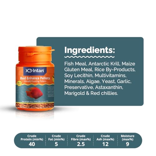 Image of Intan Red Enhance Pellets (Small 1.5mm Floating) | 30gm - Highly Nutritious Ornamental Fish Food for Parrotfish & Red Coloured Fish | Growel Feeds