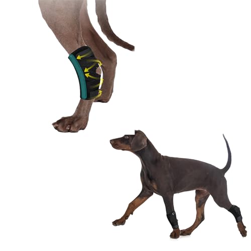 Image of (S /M) Canine Hock Brace for Rear Legs,Joint Warps Strong Support Help for Hind Leg Injuries Sprains Arthritis Torn ACL(1Pair),Dog Leg Brace for Fornt and Back Leg,