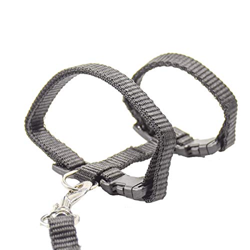 Xpangle Cat Harness And Leash Adjustable Nylon Halter Harness Kitten Nylon Strap Belt Safety Rope Leads (Black) #TOP3