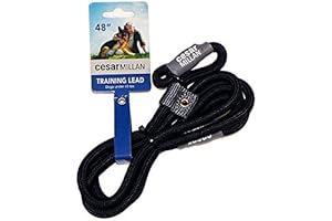 Slip Lead Leash™ - 2-in-1 Lead Collar for Happy, Leash-Trained Dogs