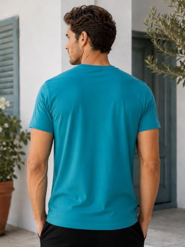 Image of Lux Cozi Men Cotton Half Sleeves Round Neck Regular Fit Casual T-Shirt