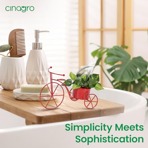 Image of CINAGRO Cycle Shaped Metal Plant Stand for Indoor & Outdoor Use, Decorative Planter Pot for Flowers & Ornaments, Stylish Metal Cycle Design, Living Room & Home Garden Decor, Style: Pedal Paradise