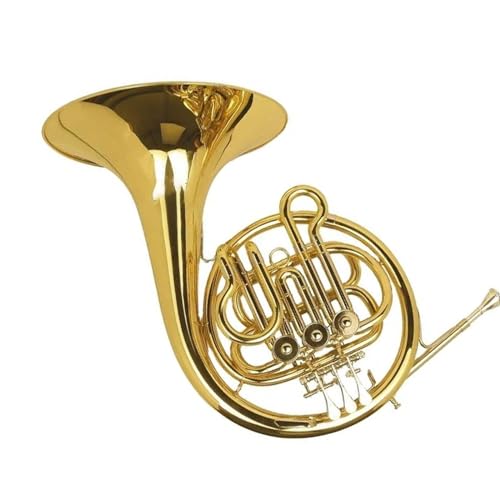 S t`z y t`z CG[uX S[hbJ[ Ǌy