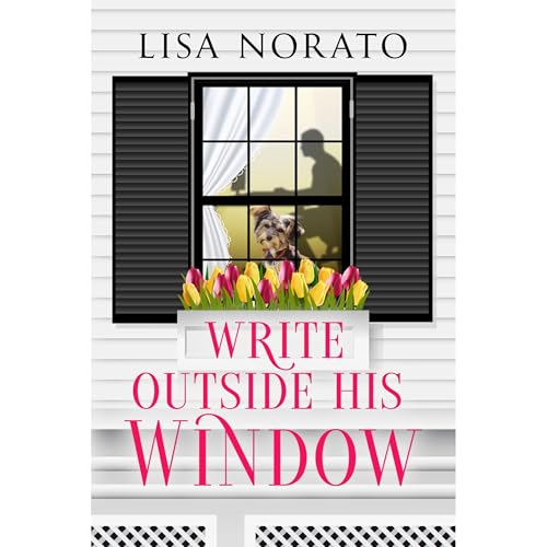 Write Outside His Window by Lisa Norato episode artwork