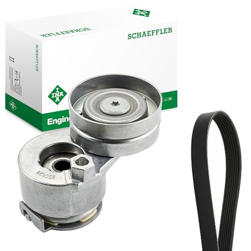 Courroie INA 529 0088 10 haute résistance pour Renault Megane et Scénic