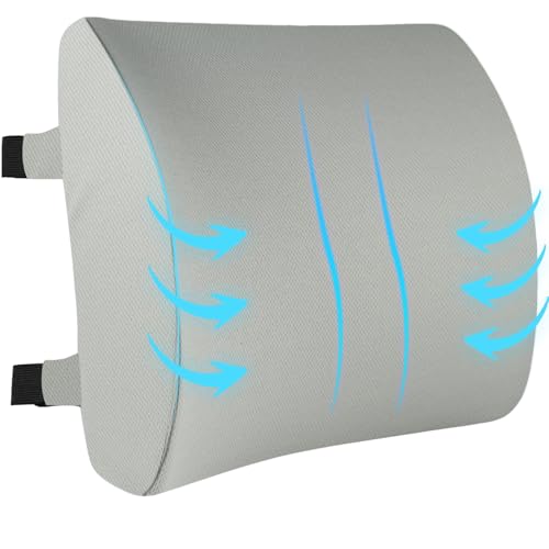 HomDSim Memory Foam Lumbar Cushion Lower Back Support Pillow Posture Correcting Car Seat Home Office Chair