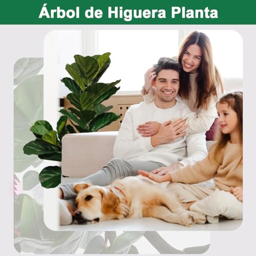 De Cuerdas, Musical Instruments Imagen adicional