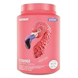 Birdman Fitmingo: Proteína Vegana con Fit, Beauty y Balance Blends. Con Ácido Hialurónico, Inositol, Potenciadores de...