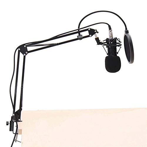 Pied de microphone perche robuste avec suspension antichoc pour studio
