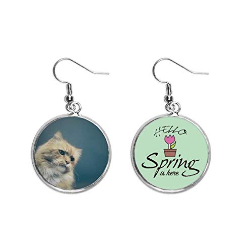 Pendientes de gato azul con diseño decorativo de fotos joyería de primavera